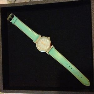 Premier Designs Watch.